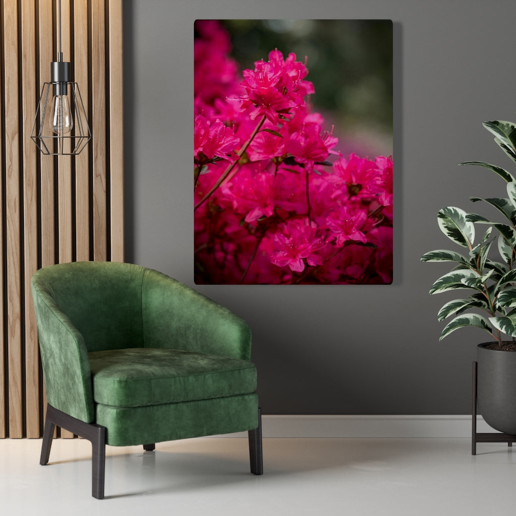 Full Bloom - Canvas