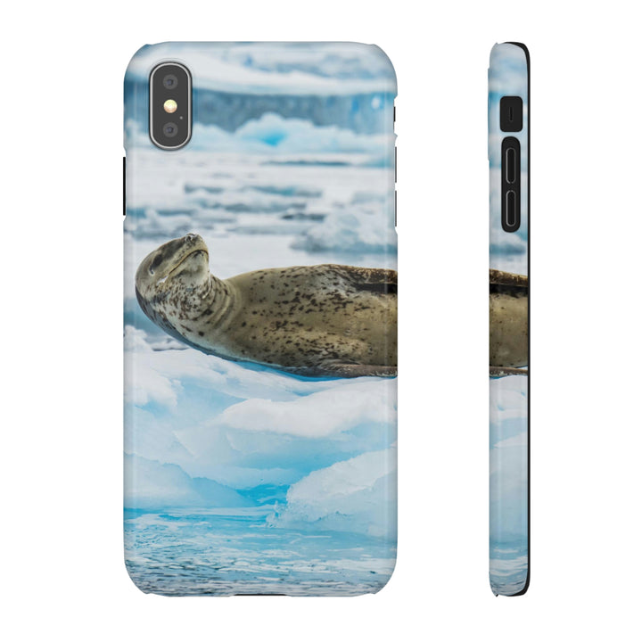 Leopard Seal Relaxing - Phone Case