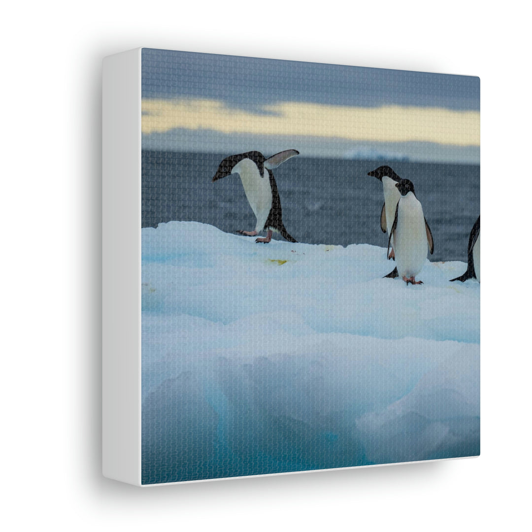 Penguin Dance - Canvas