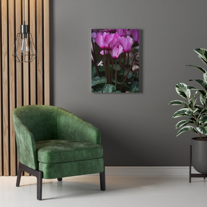 Cyclamen Reach - Canvas