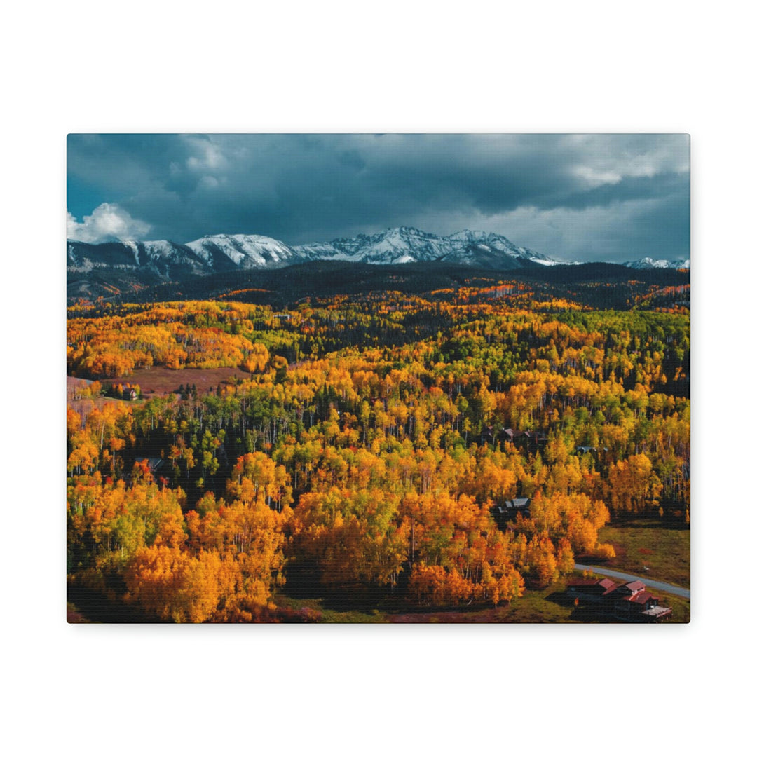 Golds of Autumn - Canvas