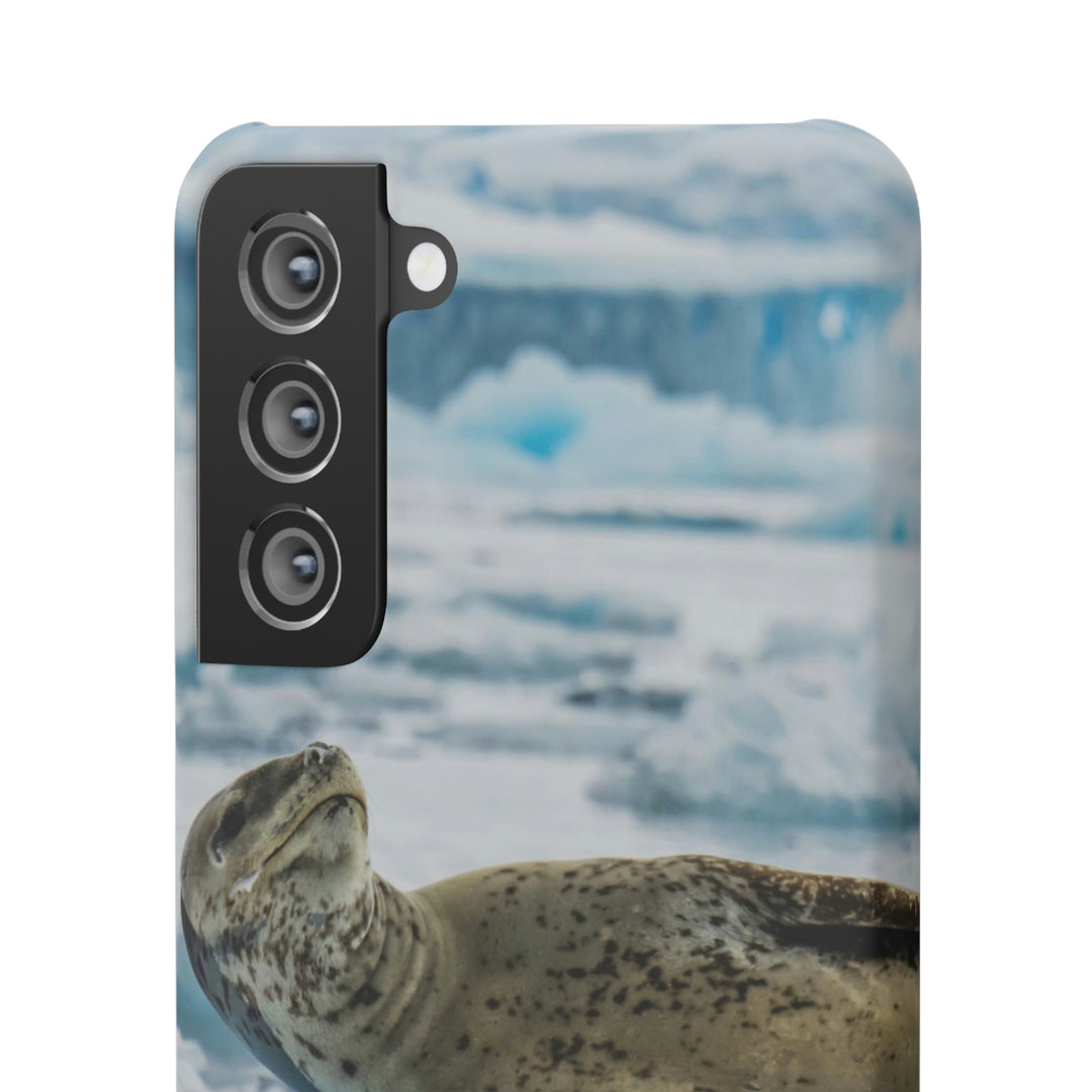 Leopard Seal Relaxing - Phone Case