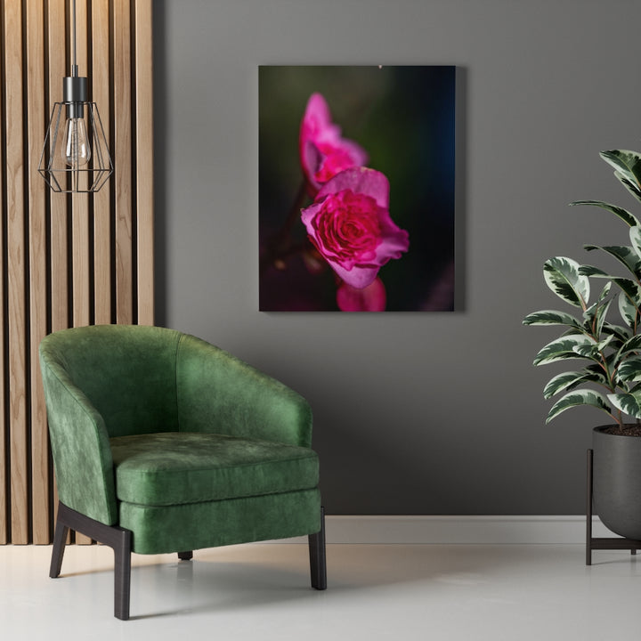 Hybrid Tea Lily - Canvas