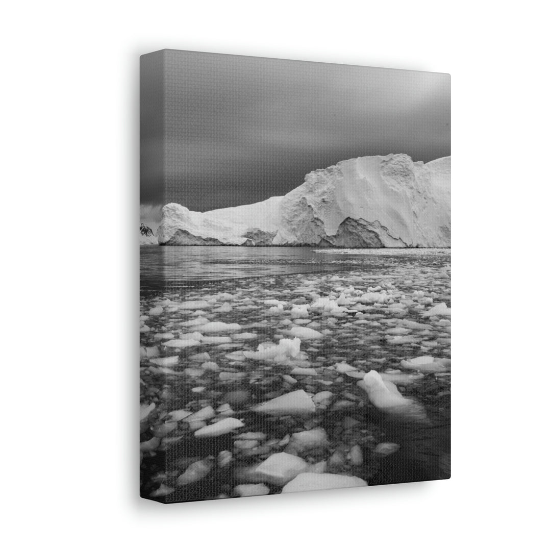 Lane of Ice In Black and White - Canvas