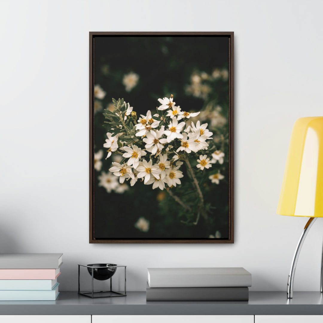 A Touch of White - Canvas with Frame