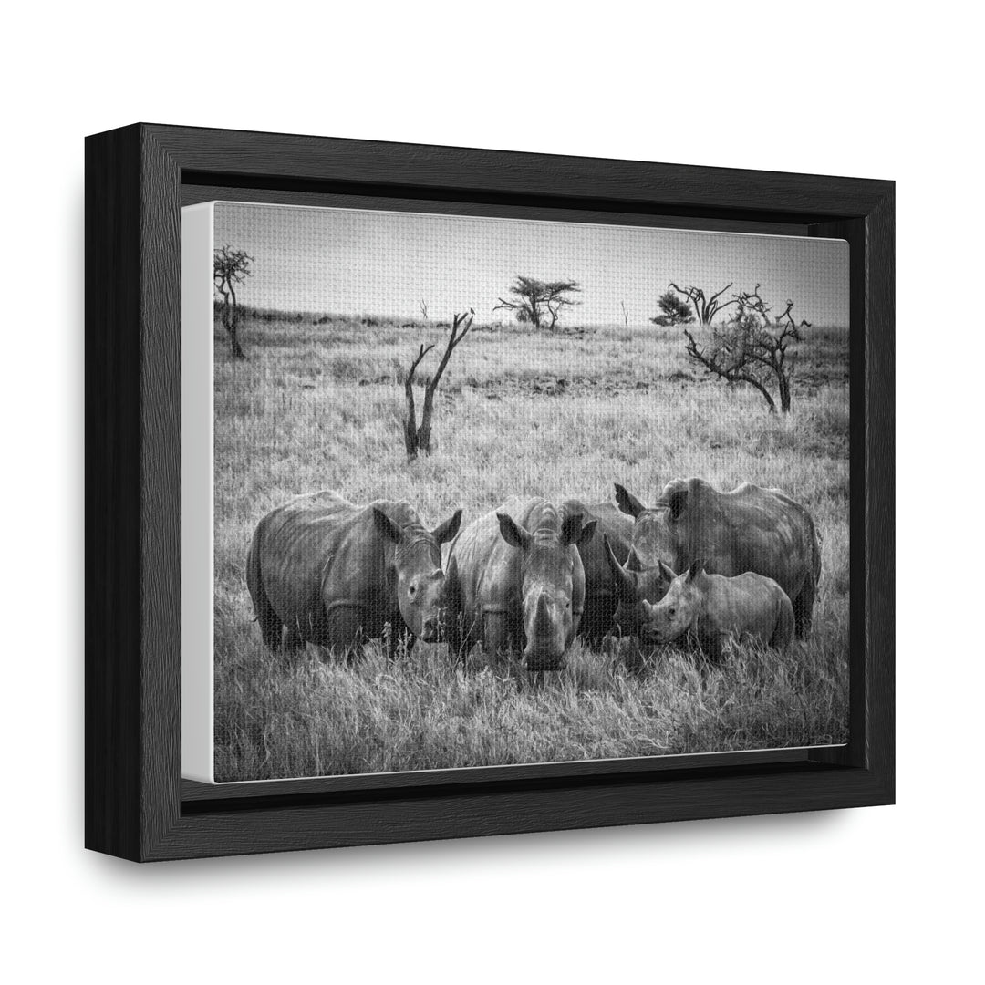 Rhino Family in Black and White - Canvas with Frame