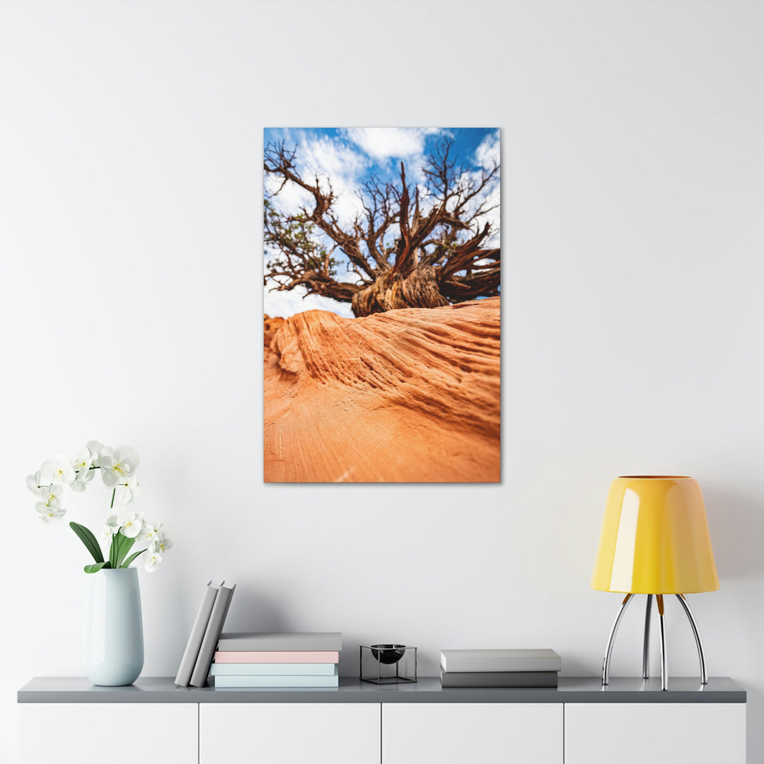 Desert Reach - Canvas