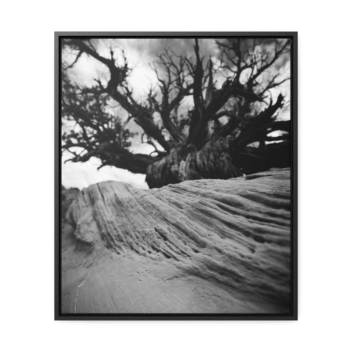 Desert Reach in Black and White - Canvas with Frame