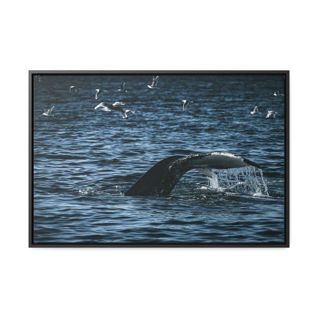 Feeding Tail - Canvas with Frame