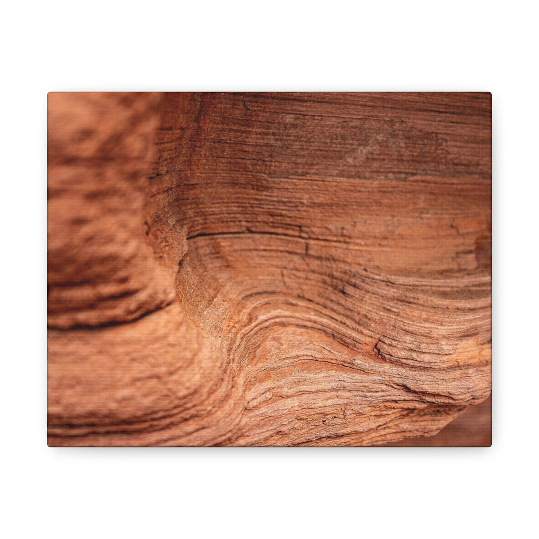 Sedimentary Rock Curves - Canvas