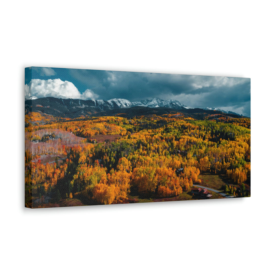 Golds of Autumn - Canvas