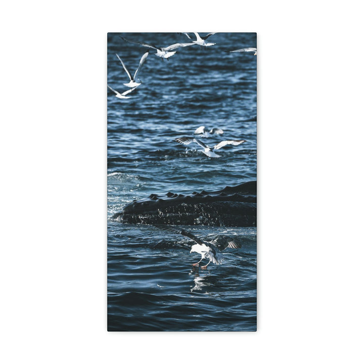 Humpback Hello - Canvas