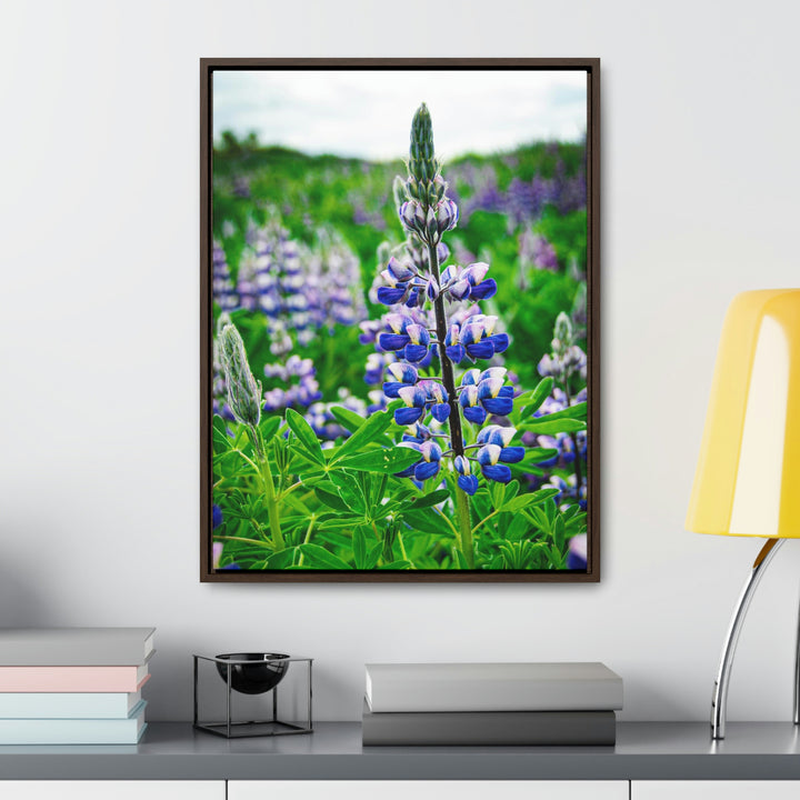 Glowing Lupin - Canvas with Frame