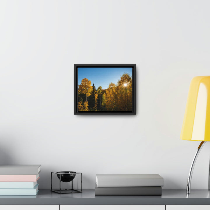 Sun Through the Aspens - Canvas with Frame