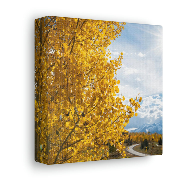 Golden Sunshine - Canvas