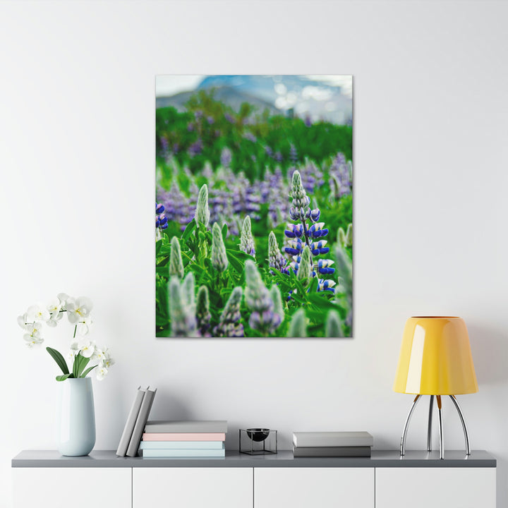 Glowing Lupin with Mountains - Canvas