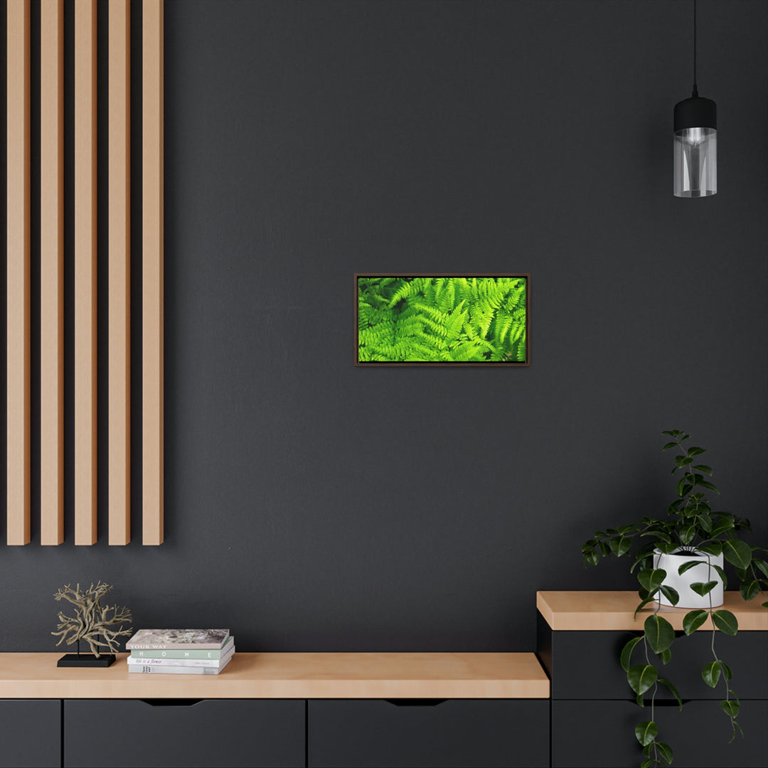 Ferns, Ferns, Ferns - Canvas with Frame