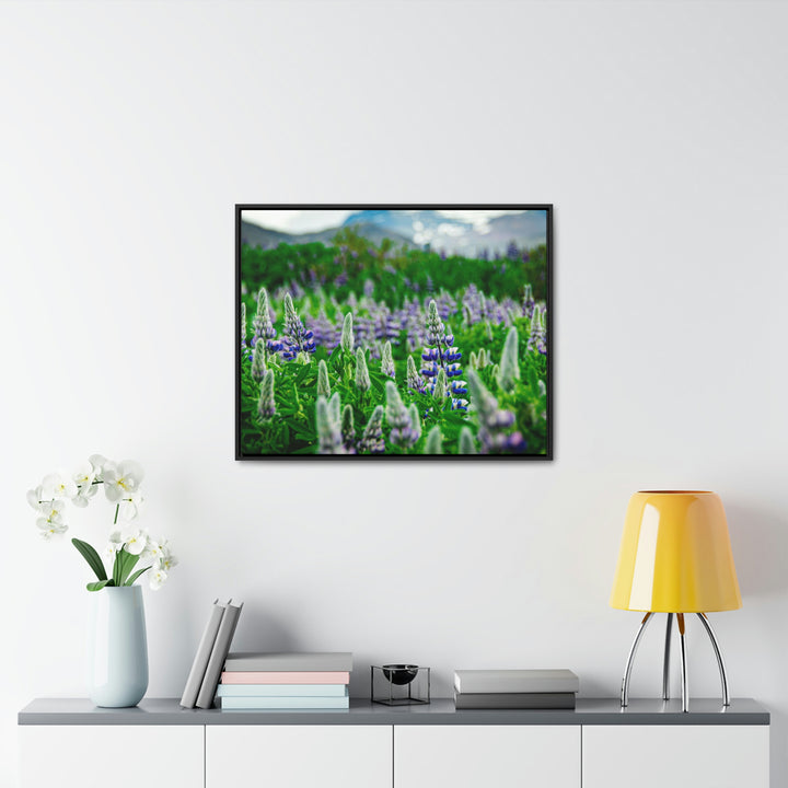 Glowing Lupin with Mountains - Canvas with Frame