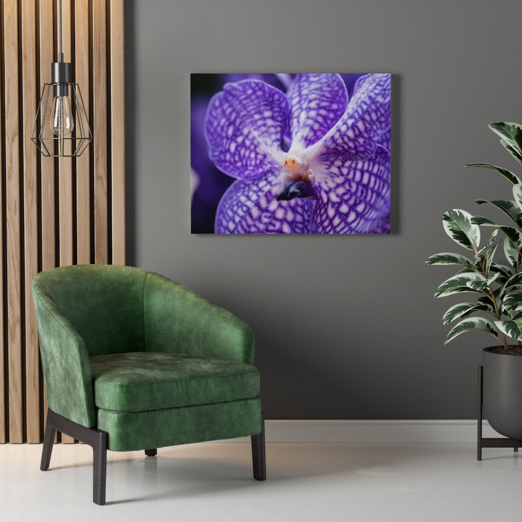 Orchid Detail - Canvas