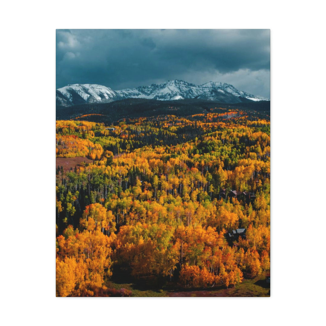 Golds of Autumn - Canvas