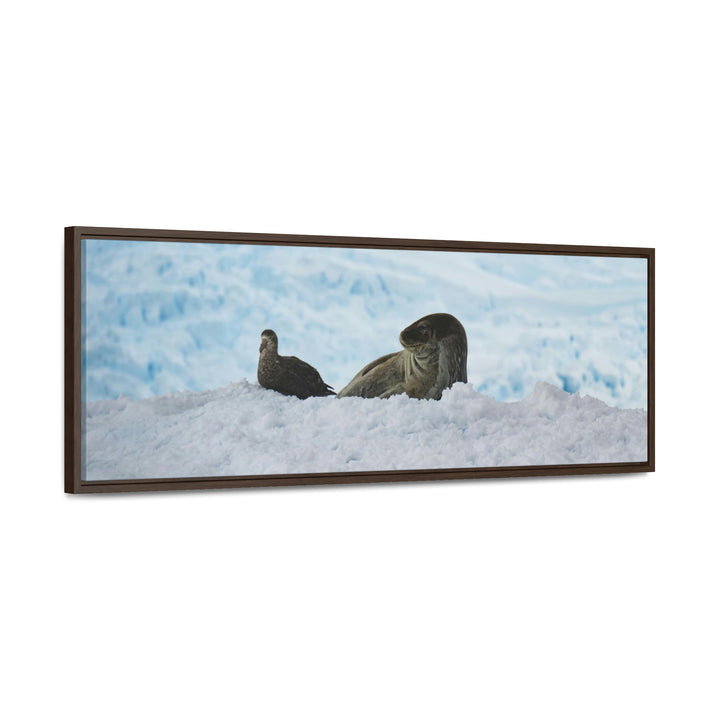 A Resting Pair - Canvas with Frame