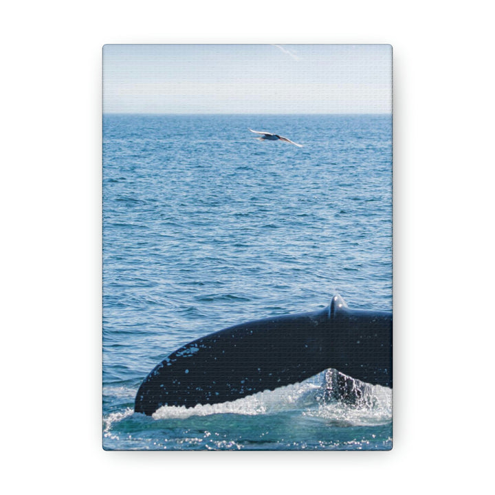 A Whale and A Mountain - Canvas