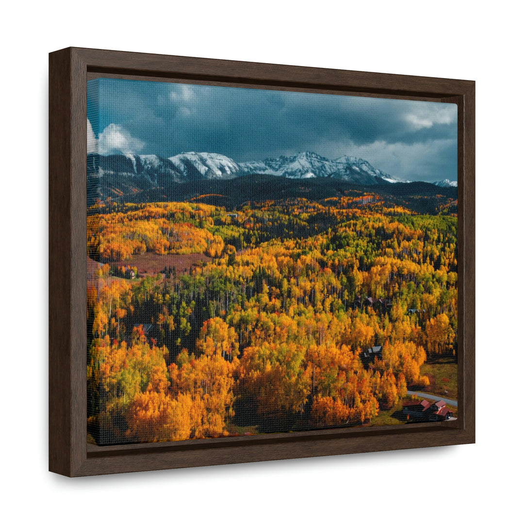 Golds of Autumn - Canvas with Frame