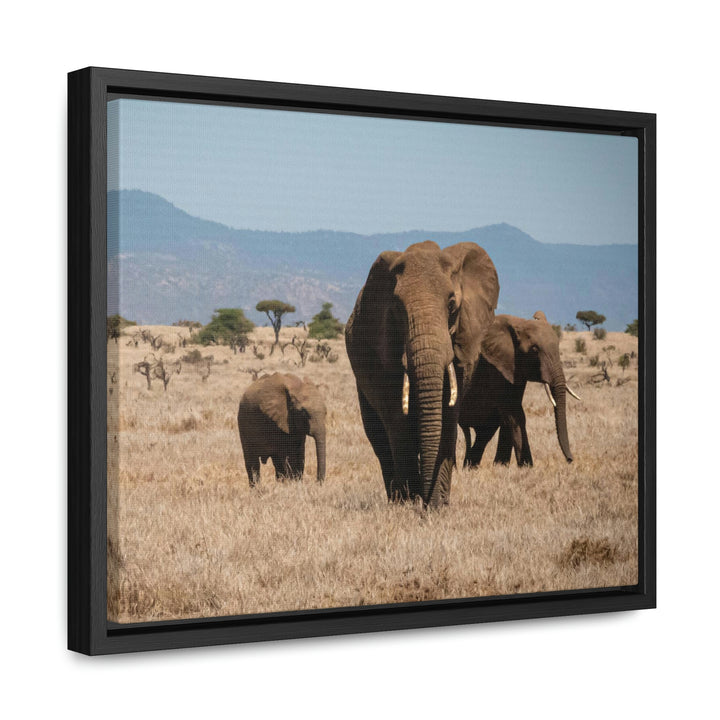 Family March - Canvas With Frame