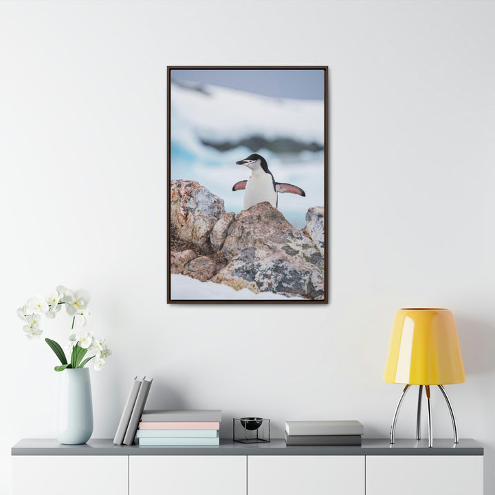 Stretched Penguin - Canvas with Frame