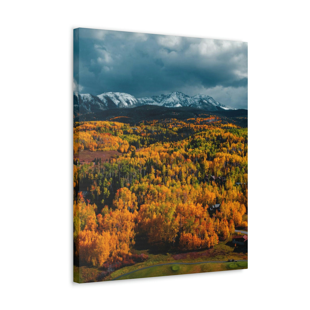 Golds of Autumn - Canvas