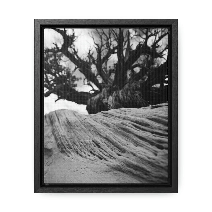 Desert Reach in Black and White - Canvas with Frame