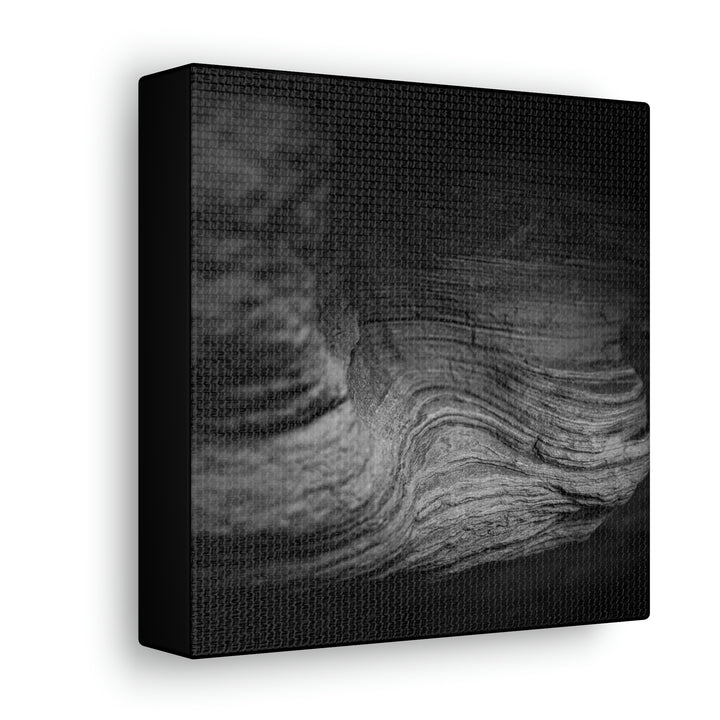 Sedimentary Rock Curves in Black and White - Canvas