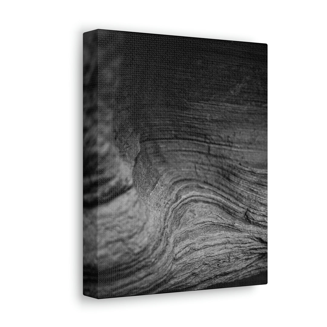 Sedimentary Rock Curves in Black and White - Canvas