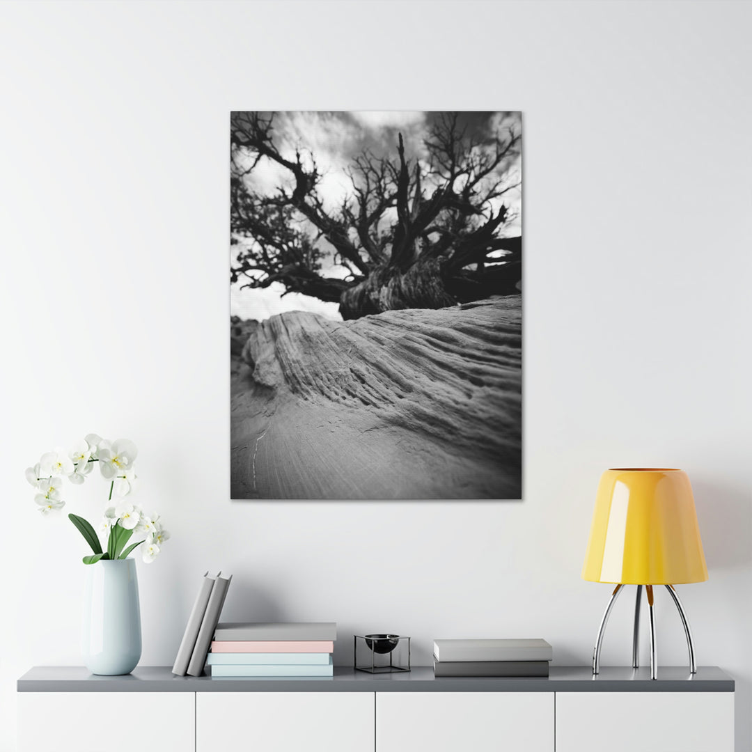 Desert Reach in Black and White - Canvas