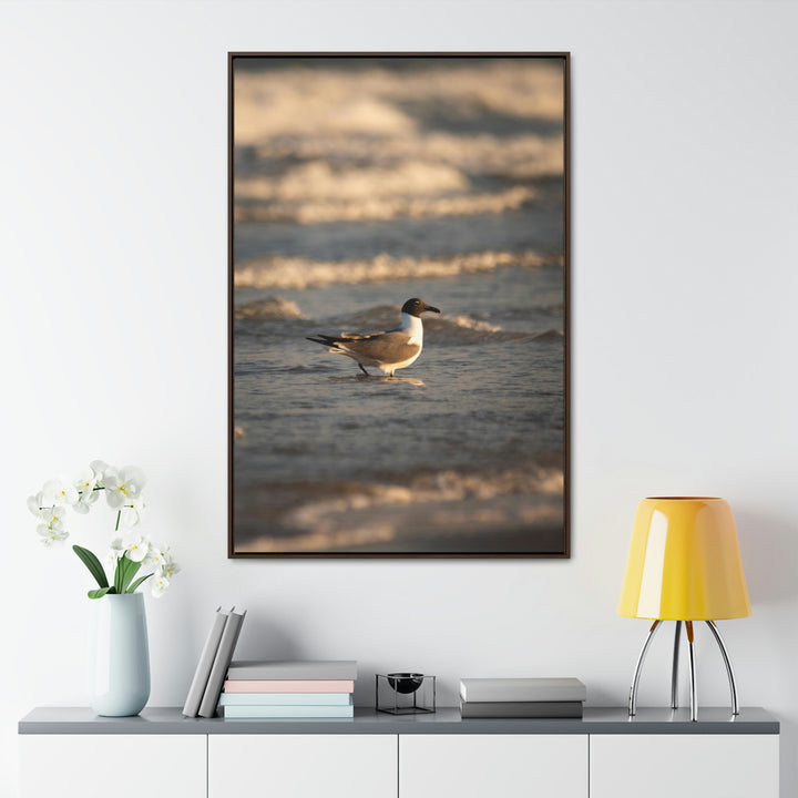 Laughing Gull in the Surf - Canvas with Frame