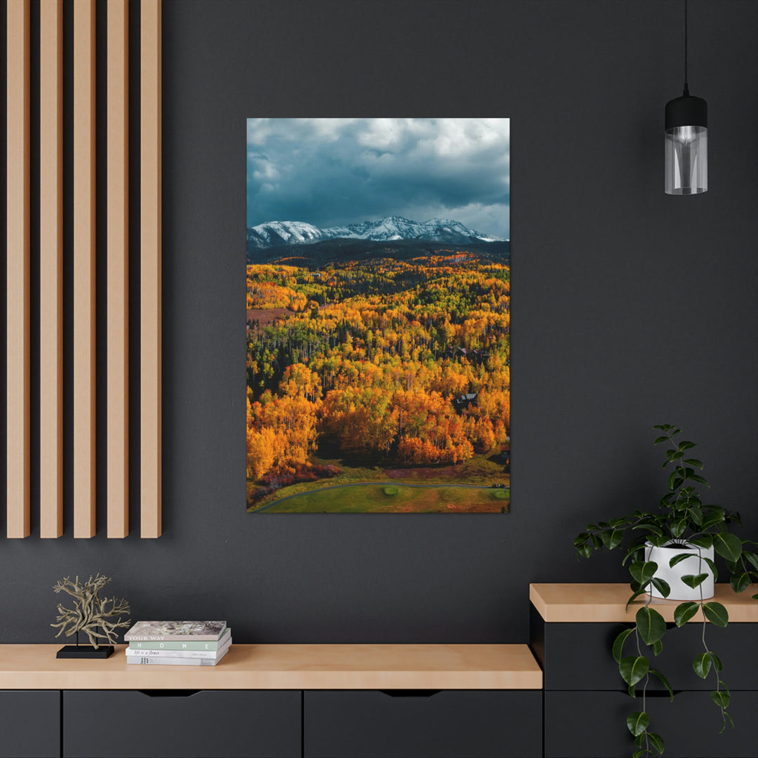 Golds of Autumn - Canvas