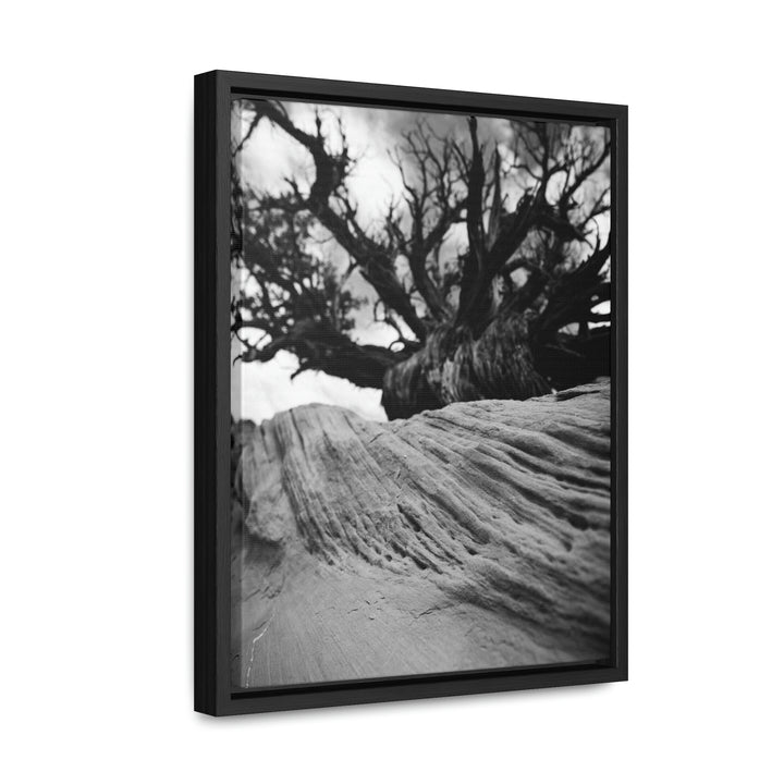 Desert Reach in Black and White - Canvas with Frame