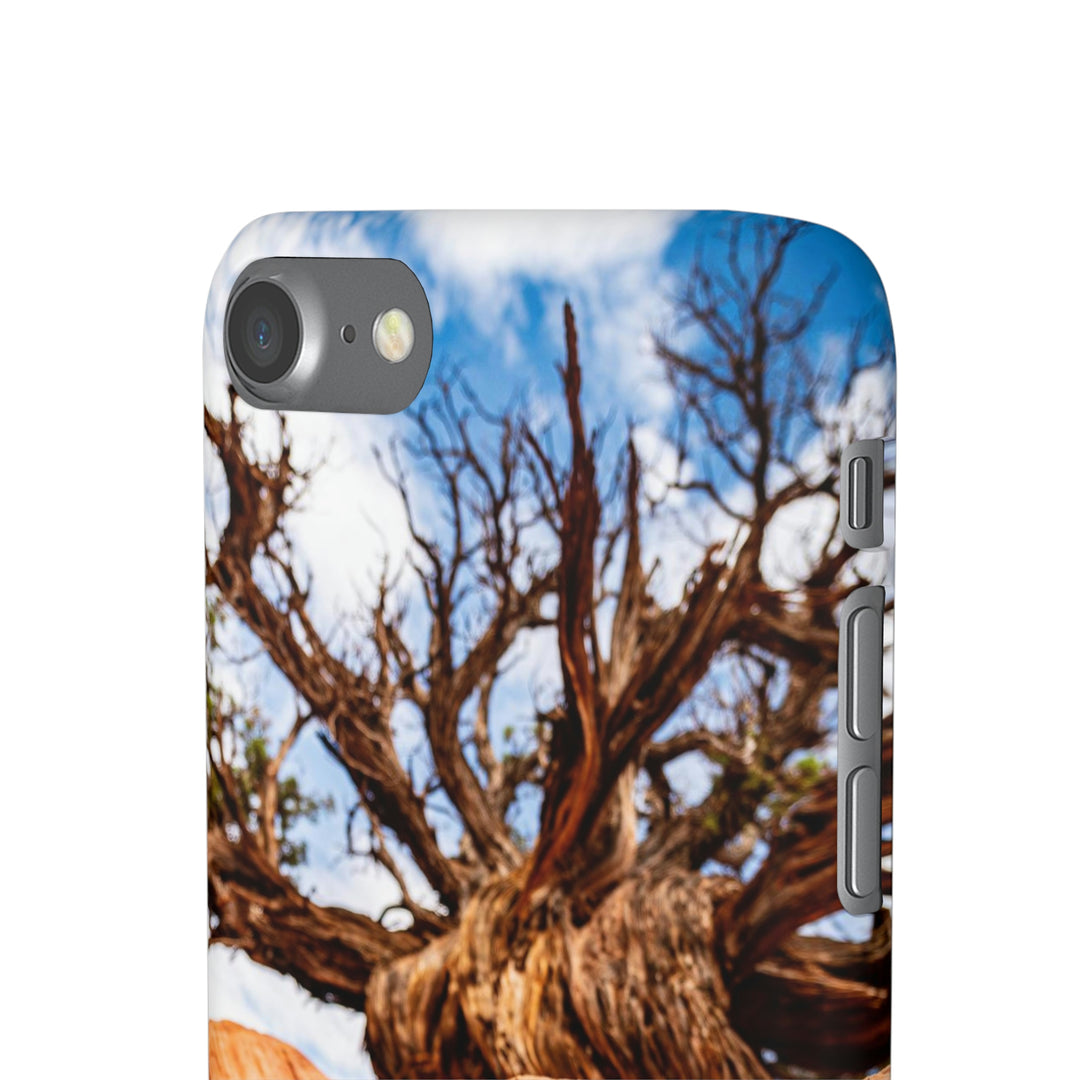 Desert Reach - Phone Case