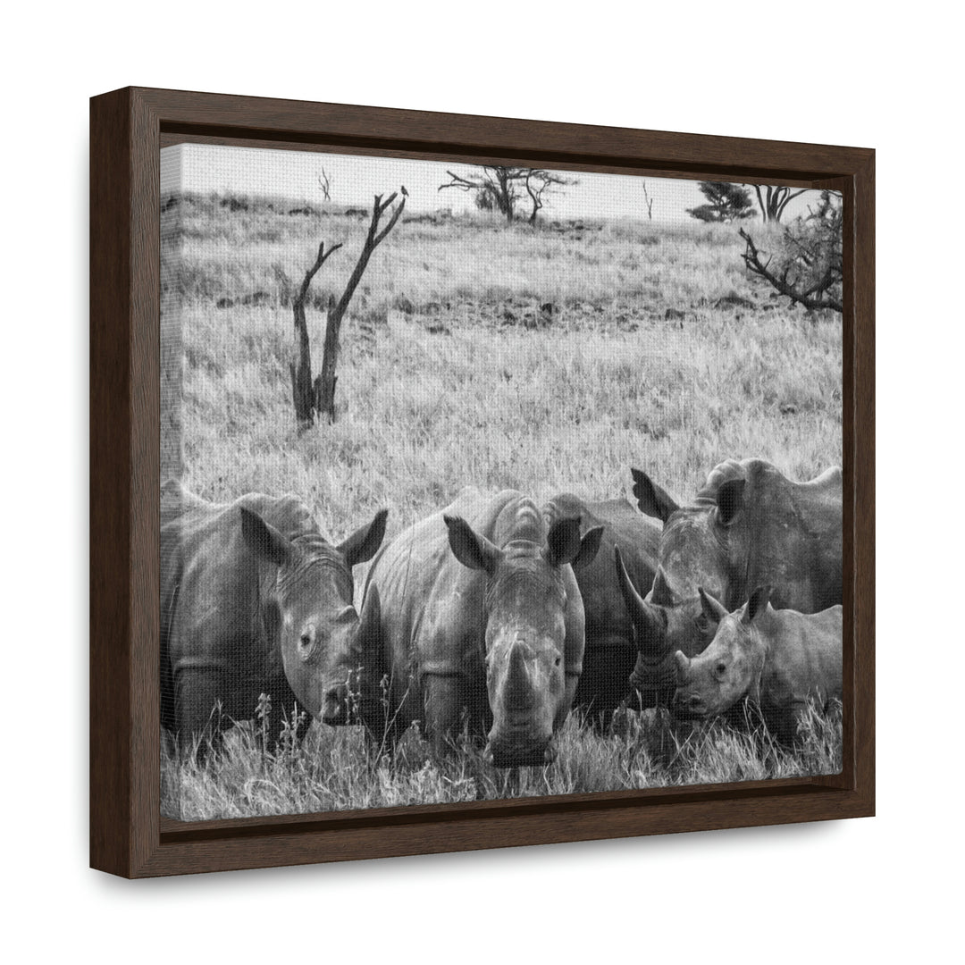 Rhino Family in Black and White - Canvas with Frame