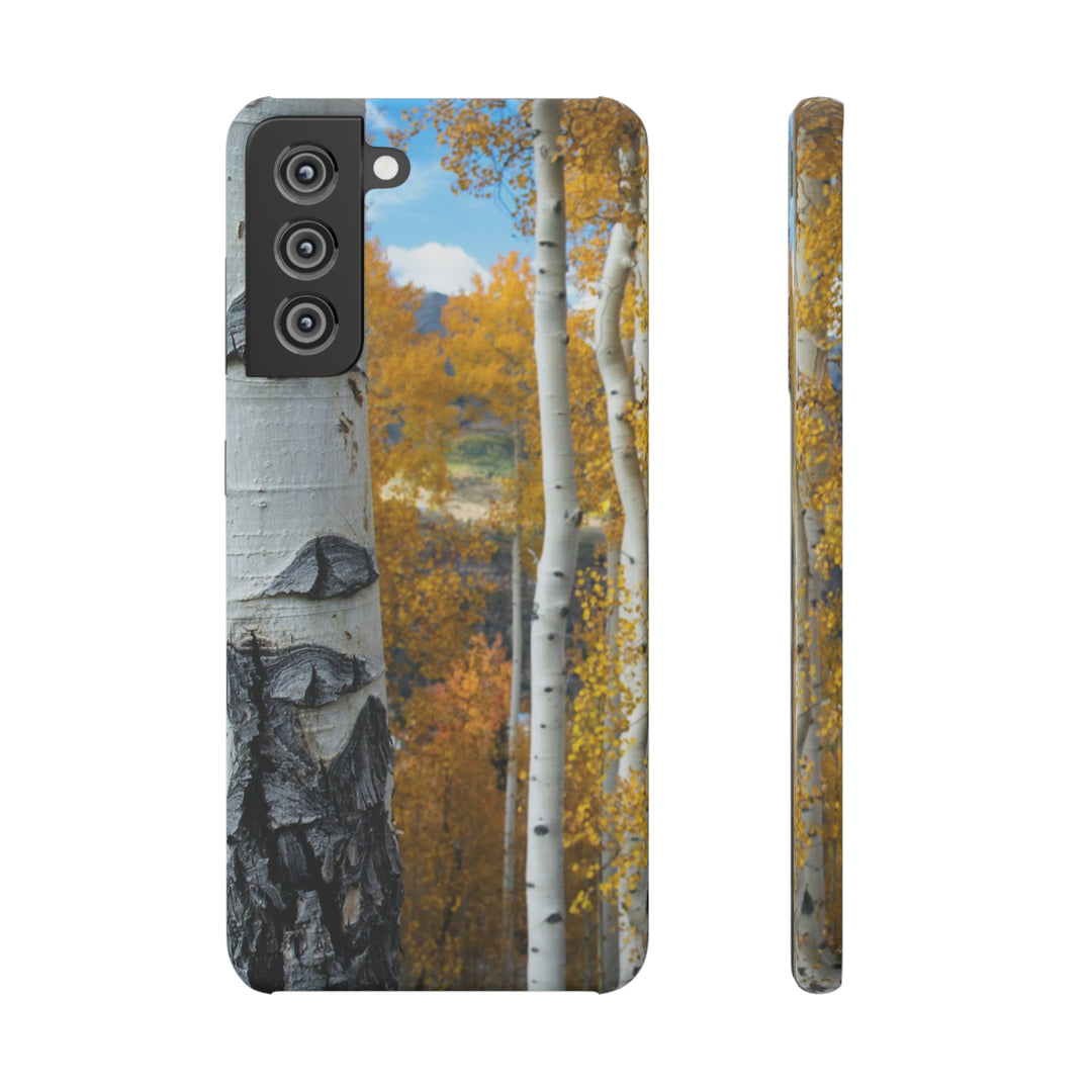 Aspens Changing - Phone Case