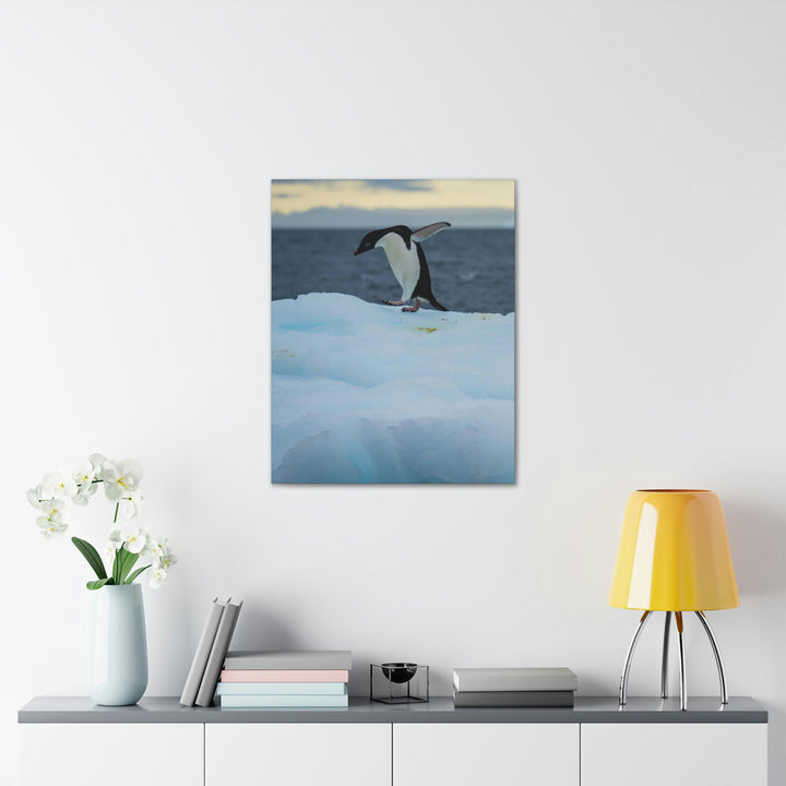 Penguin Dance - Canvas