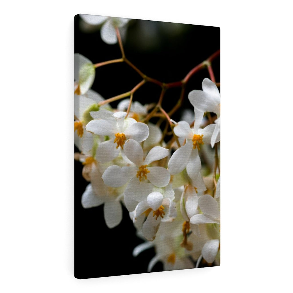 Floral Network - Canvas