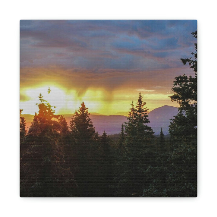 Rainy Sunset Through the Trees - Canvas