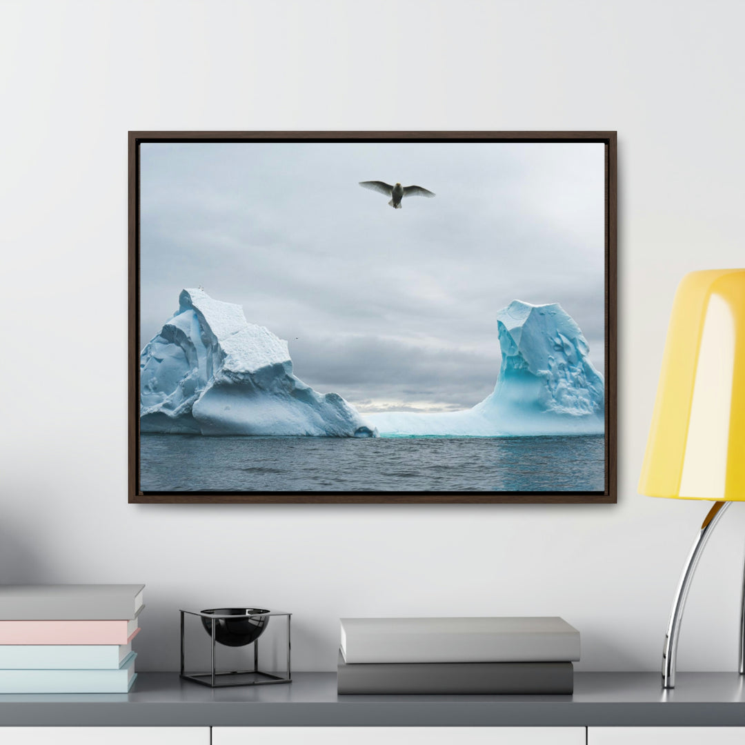 Antarctic Flight - Canvas with Frame