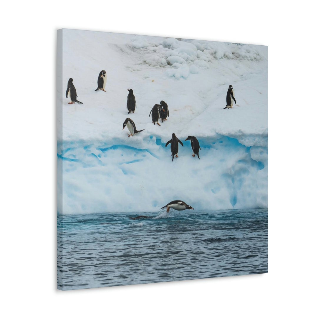 Porpoising Penguin - Canvas