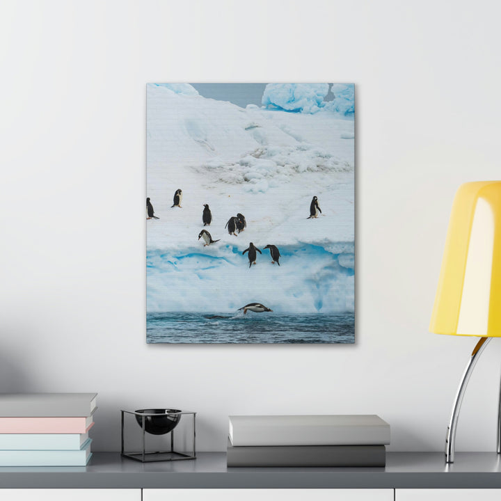 Porpoising Penguin - Canvas