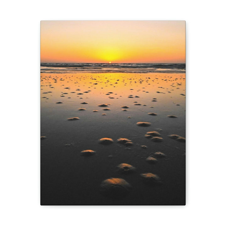 Burrows at Sunrise - Canvas