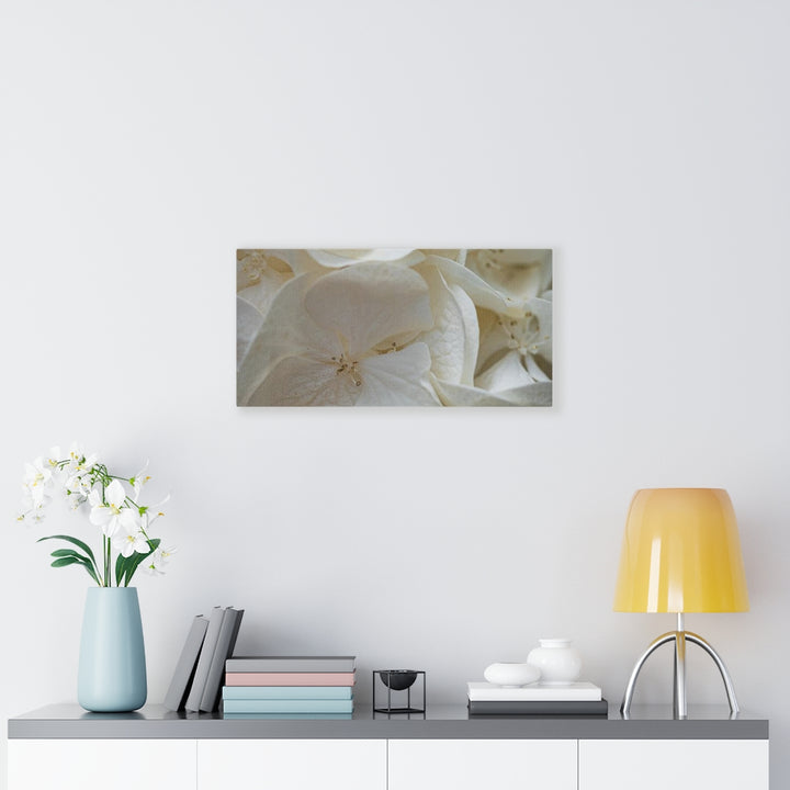 White Hydrangea Detail - Canvas