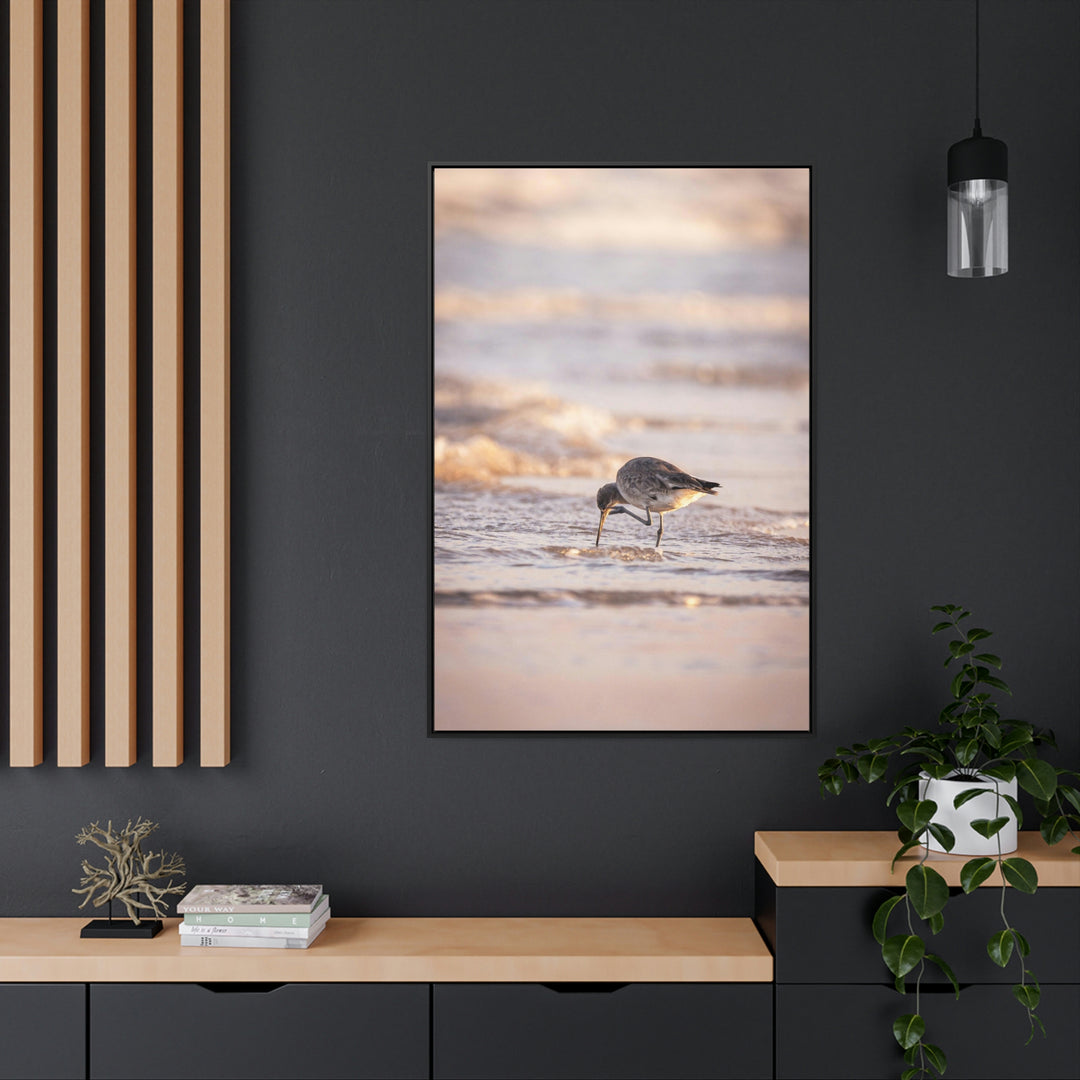 Willet Itch - Canvas with Frame