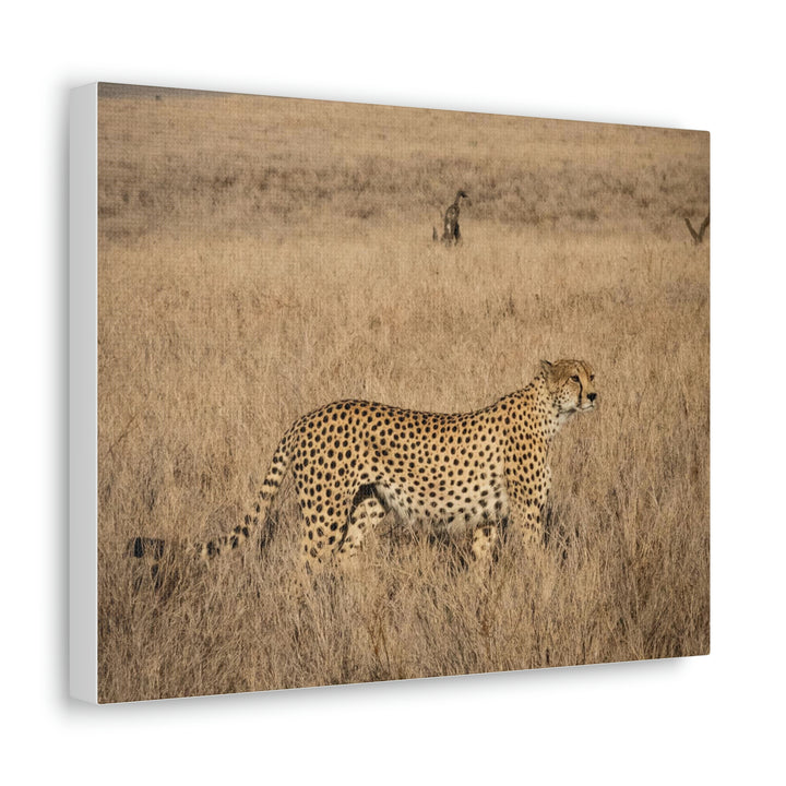 Regal Camouflage - Canvas